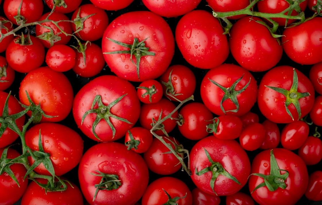 Gigantyczny pomidor – ogrodniczy sukces Jastrzębianki