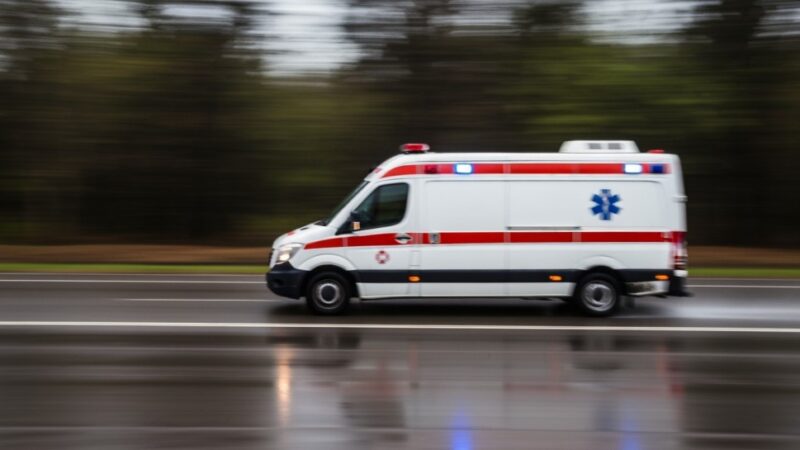 Rottweiler na ulicach Jastrzębia – straż miejska w akcji ratunkowej!