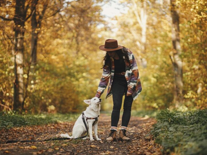 Jastrzębski DogTrekking TropDoGrzybka: Bieg z Psem dla Schroniska już 7 września!