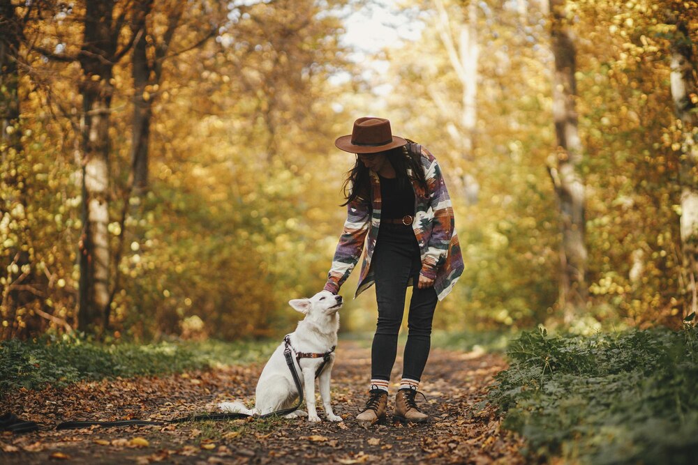 Jastrzębski DogTrekking TropDoGrzybka: Bieg z Psem dla Schroniska już 7 września!