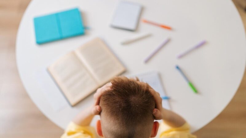 Dzieci z Pawłowic uczą się emocji na innowacyjnych warsztatach edukacyjnych