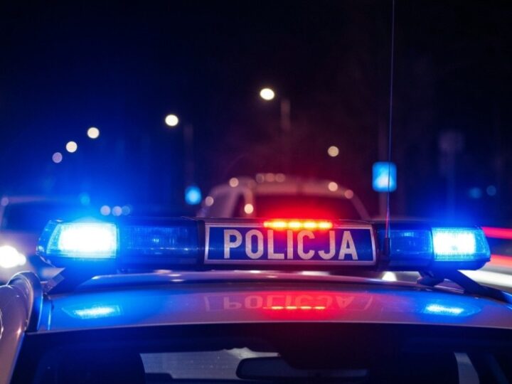 Koty w Żorach uratowane z tragicznych warunków: dramatyczna interwencja służb