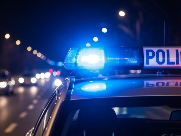 Sosnowiec: Zatrzymano handlarza po rozbiciu plantacji konopi