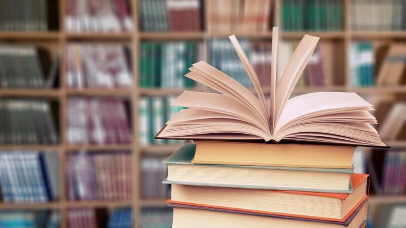 Dziecięce odkrycia w świecie poezji Brzechwy i Tuwima w bibliotece