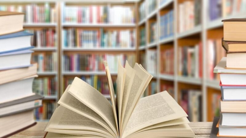 Maria Jasionek zdobyła tytuł Bibliotekarza Roku na Śląsku