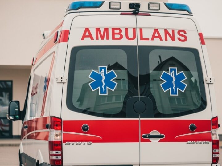 Międzynarodowe szkolenie psów ratowniczych w Ustroniu: nowoczesne techniki w akcji