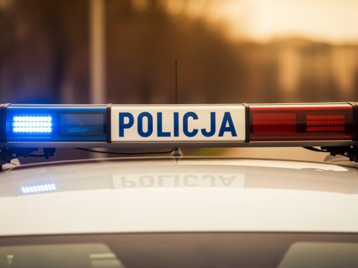 Policjanci z Będzina ratują owczarka niemieckiego w nietypowej interwencji!