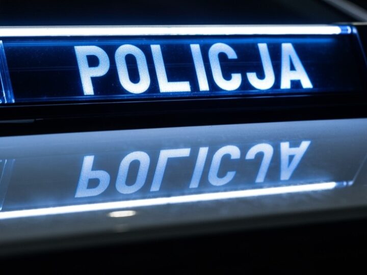 Sosnowiec: 29-latek w areszcie po odkryciu 3,5 kg narkotyków w altance
