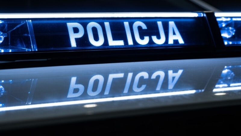 Sosnowiec: 29-latek w areszcie po odkryciu 3,5 kg narkotyków w altance