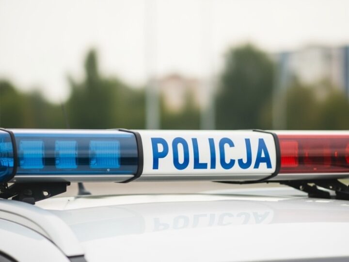Policjant w Mysłowicach ratuje zgubionego szczeniaka w czasie wolnym