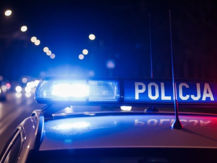 Policja ratuje zaniedbanego psa w Świętochłowicach – właścicielka usłyszała zarzuty