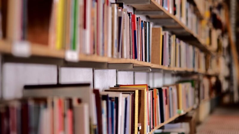 Fryzjerskie czesanie z Kubusiem Puchatkiem w bibliotece!