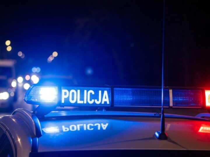 Katowiccy policjanci zdobywają medale na Mistrzostwach Polski w Brazylijskim Jiu Jitsu