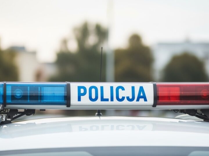 16-latek oskarżony o brutalny rozbój w centrum handlowym