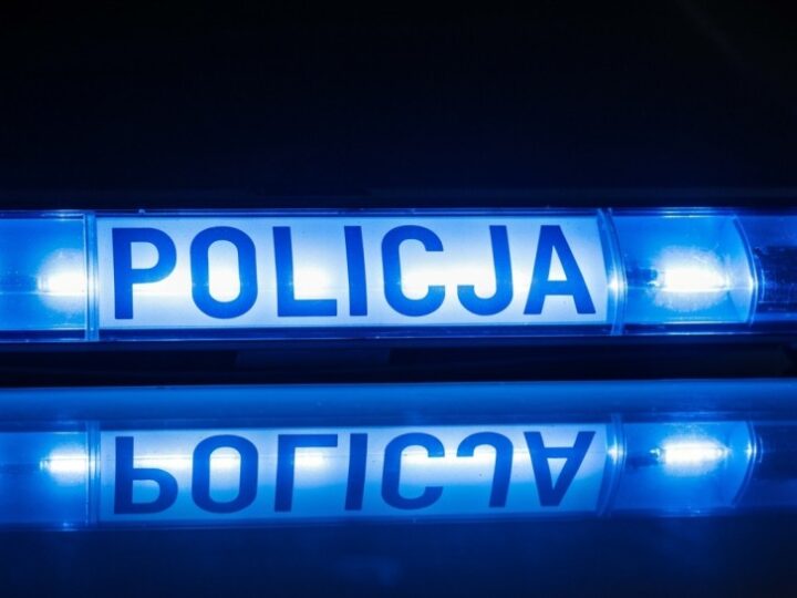 Kierowca w szaleńczym pościgu powalił drzewo na drodze