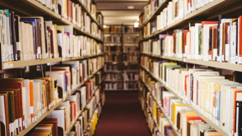 Papierowe wtorki w bibliotece: twórz i odkrywaj ekologiczną sztukę!