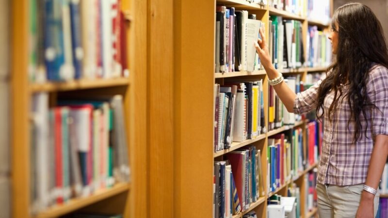 Literacka wędrówka na lato: odkryj „Odyseję” Barbary Kingsolver
