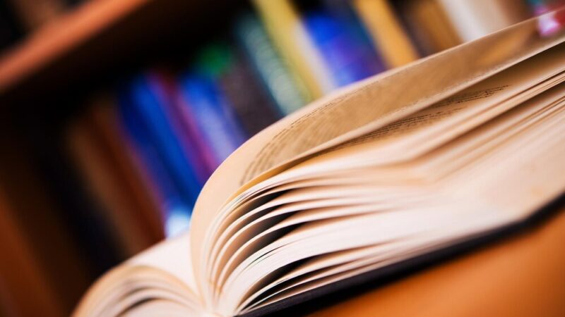Wakacyjne warsztaty z Baltazarem Gąbką: dołącz do zabawy w Bibliotece!