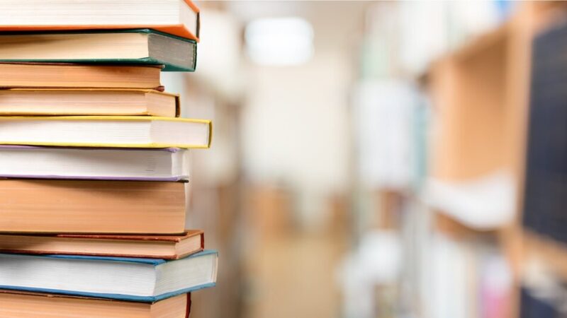 Wakacyjne podróże z profesorem Baltazarem Gąbką w jastrzębskiej bibliotece