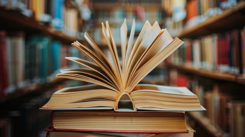 Wakacyjne przygody z Baltazarem Gąbką w Bibliotece!