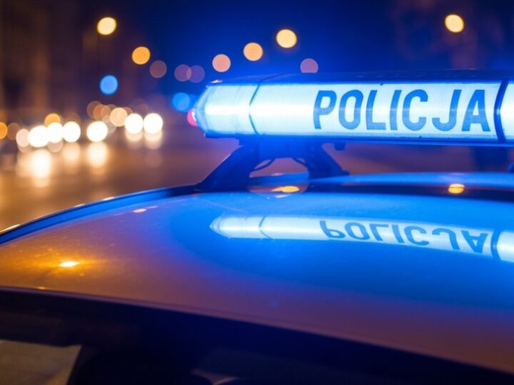 Wspólne patrole policji i straży miejskiej z czworonożnymi pomocnikami w Katowicach