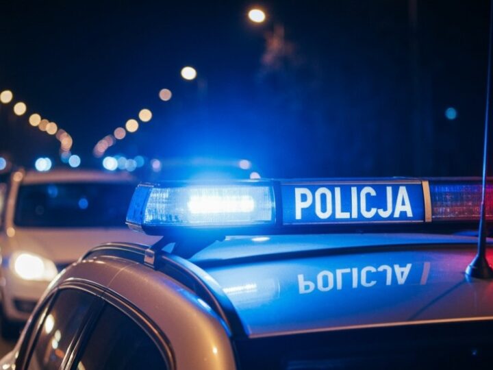 Atestacja psów służbowych w garnizonie śląskim
