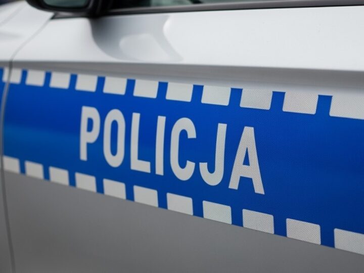 Pies policyjny Wak uratował zaginionego 82-latka
