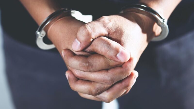Policjanci z psami doskonalą umiejętności w Szwecji w projekcie TROPIK-9