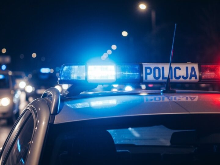 Areszt dla 22-latki za łamanie zakazów i przestępstwa kryminalne